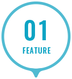 01 FEATURE